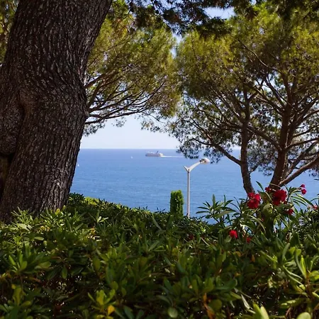 Stunning View And Pool Big Location Apartament Nicea